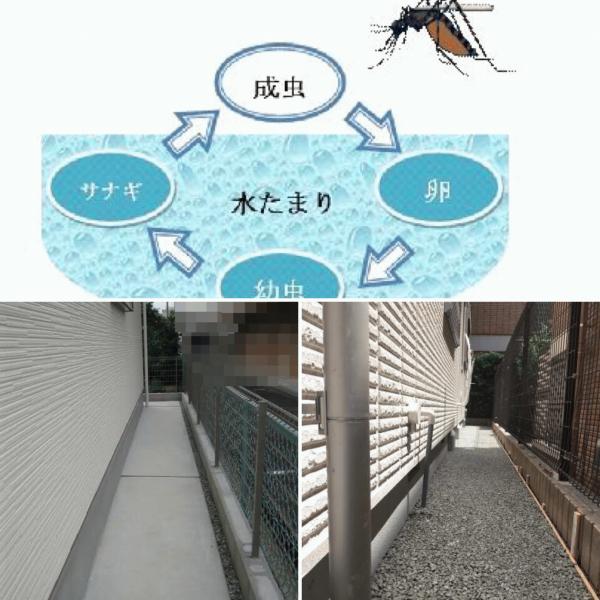 「この季節【蚊】に困っていませんか?」犬走りを透水性コンクリートにすることの意外な効用