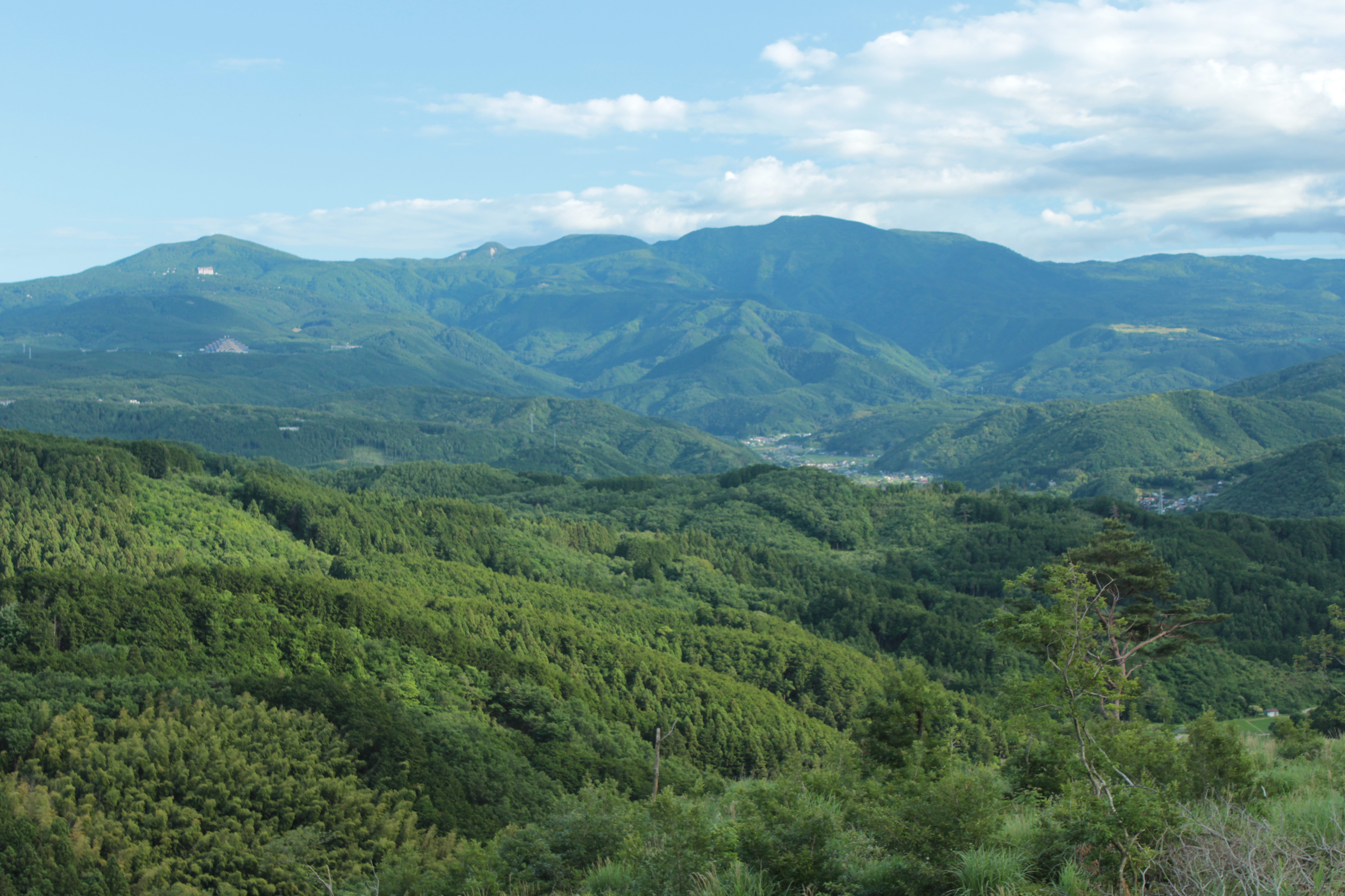 Mount_Amagi_20120610.jpg