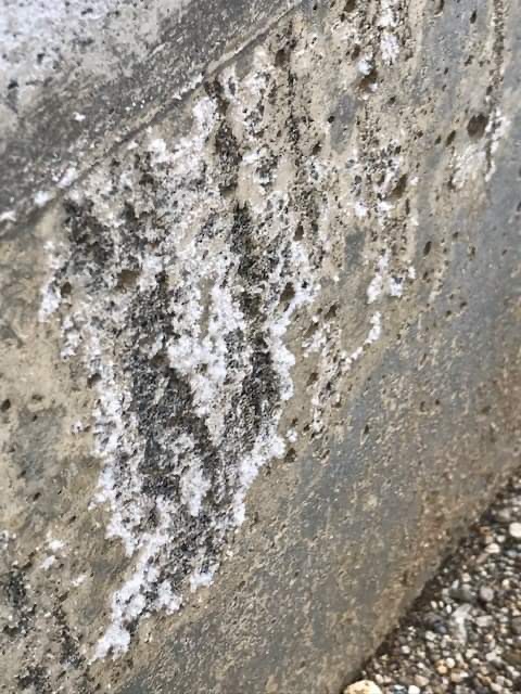 そのエフロとやらを舐めてみたら塩っぱかった 鉄筋が錆びたりとか大丈夫なの コンクリートのトラブル全部解決 生コン屋さんとコンクリート診断