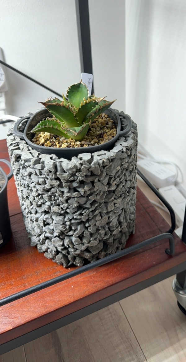 オリジナル一品物アレンジ鉢 掛け分け 手作り浅鉢 緑（ボウル・鉢）｜Madu（マディ）｜HAKKA公式