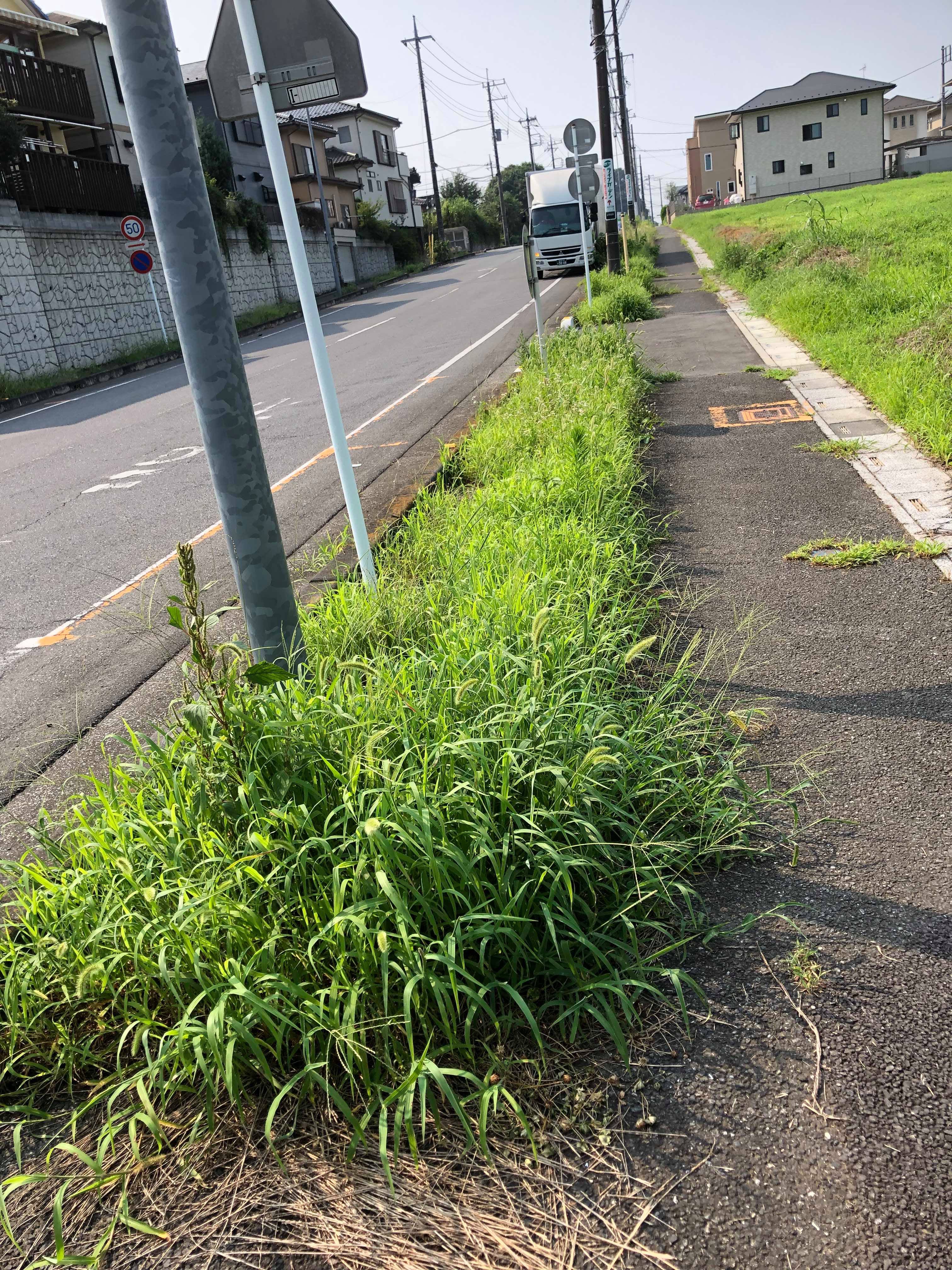 防草シートって意味あるの 下を向いて歩こう 4 埼玉県桶川市 水たまり対策 ドライテック オコシコン 透水性舗装仕上材 生コンポータル