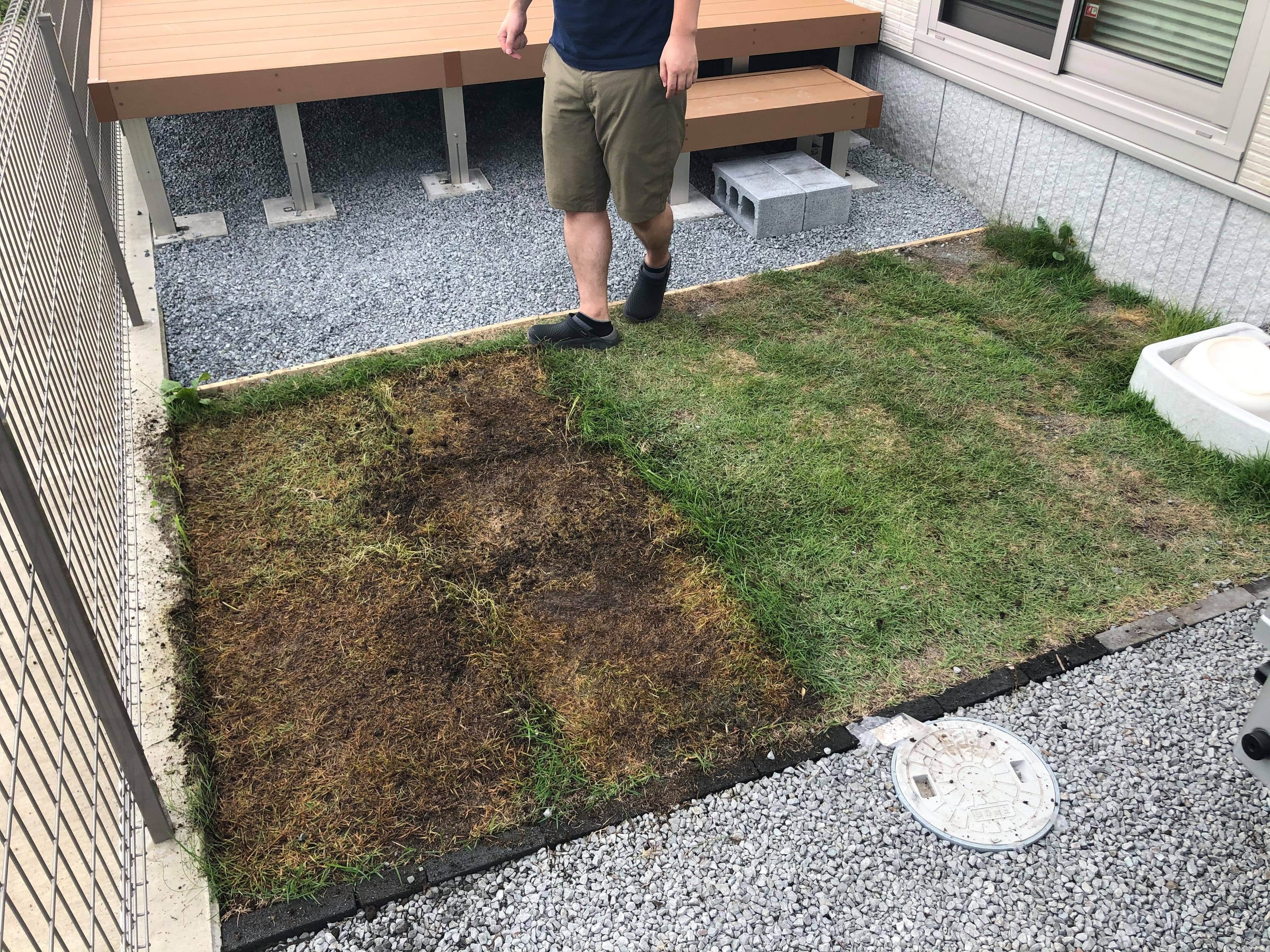 静岡 Diyで発生するその 大量の土 どうする エクスショップ 残土 Danpoo 建設発生土 水たまり対策 ドライテック オコシコン 透水性舗装仕上材 生コンポータル
