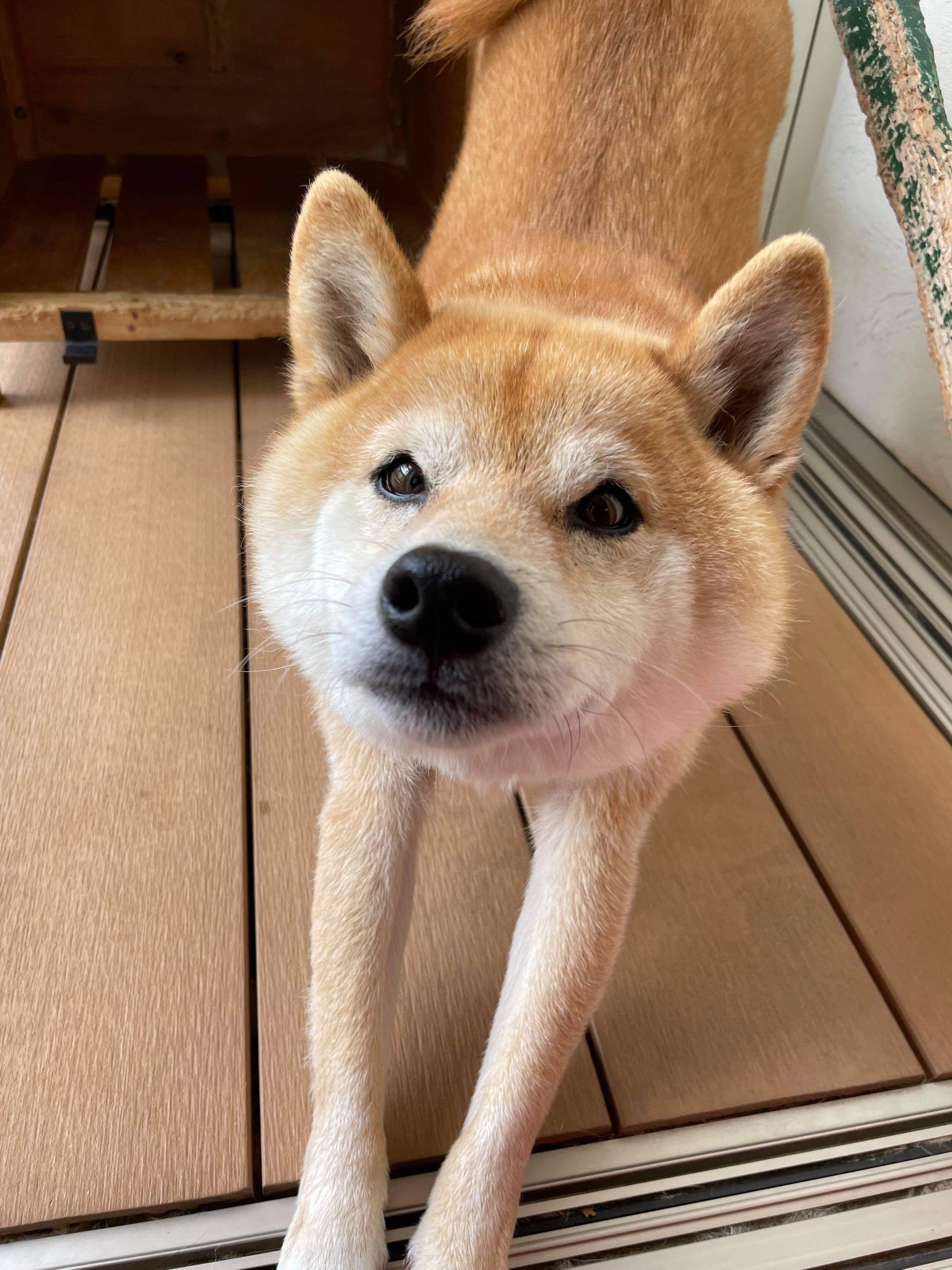 北海道 プール遊びには ドライテック と思いましたのでアップします タケザワウォール 水たまり対策 透水コン 透水性舗装仕上材 生コンポータル