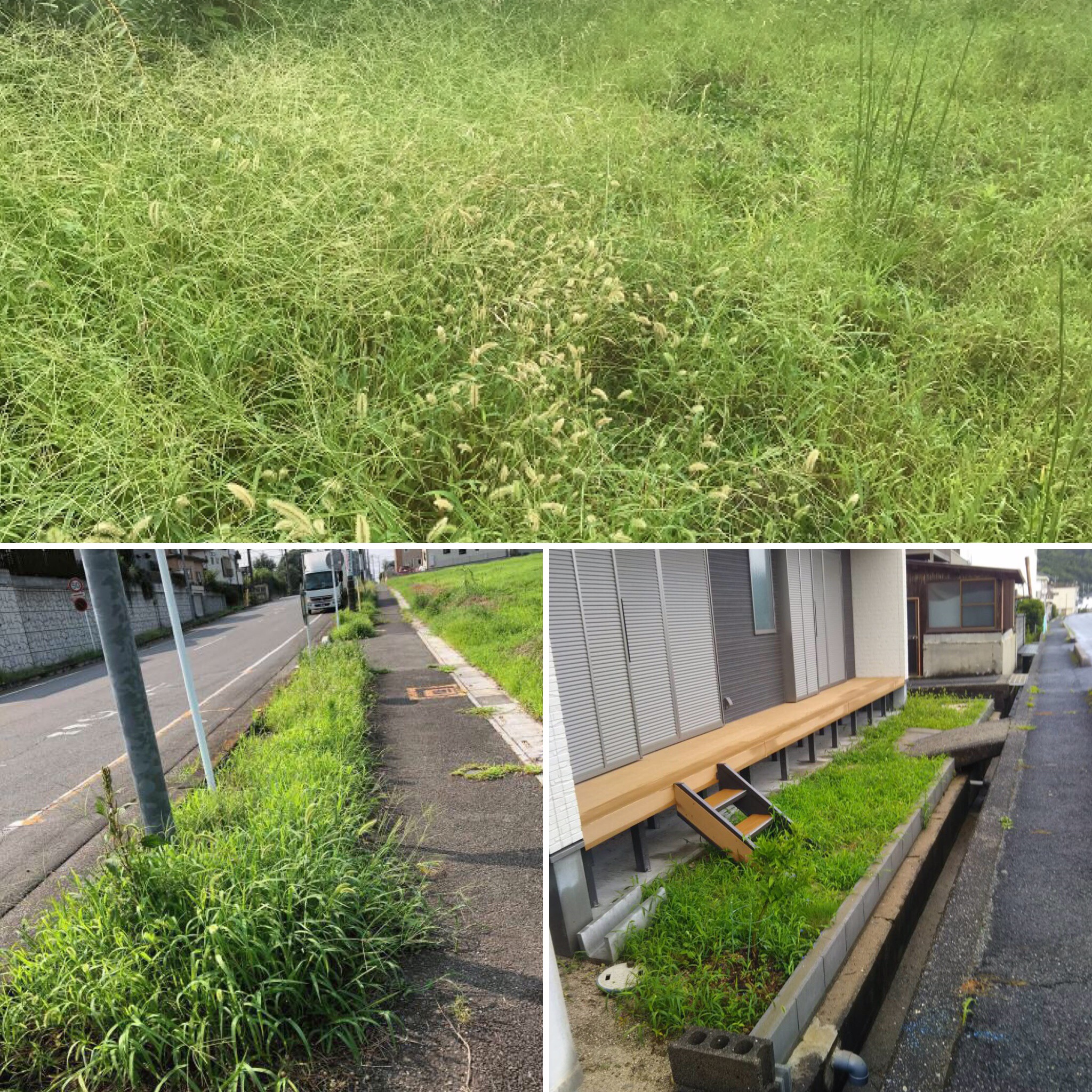 雑草 お役立ちシリーズ 防草 草むしり コケ カビ ジメジメに困ったら透水性コンクリート 水たまり対策 Drytech ドライテック 透水性舗装仕上材 生コンポータル 雑草 お役立ちシリーズ 防草 草むしり コケ カビ ジメジメに困ったら透水性コンクリート 水たまり対策 Drytech ドライテック 透水性舗装仕上材 生コンポータル