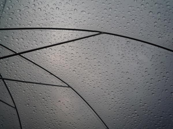 「梅雨が好きになる魔法の傘」販促品