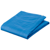 bluesheet.jpg