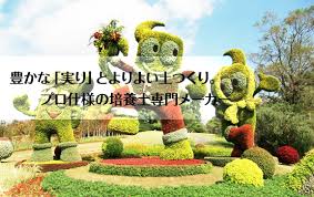mikawamikuronn.jpg