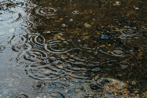 「上に目線を移すことができるのかな」 水たまり・路面