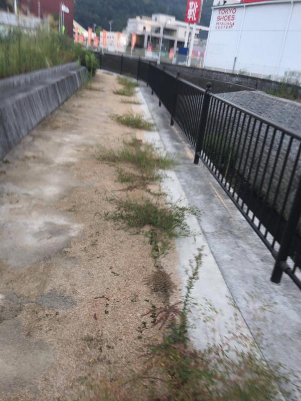 真砂土の真実 歩道 エクステリア 土間コン 舗装 草 水たまり対策 Drytech ドライテック 透水性舗装仕上材 生コンポータル 真砂土の真実 歩道 エクステリア 土間コン 舗装 草 水たまり対策 Drytech ドライテック 透水性舗装仕上材 生コンポータル