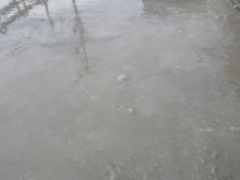 buri-dhinngusui.jpg