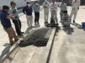 「ていうか明日じゃん！｜施工見学会 in鳥取」 透水・水はけ