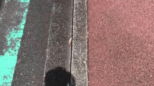 「透水性コンクリートの路面温度って本当にアスファルトよりも10℃低いの?」