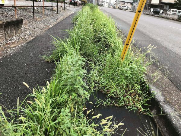 なんで防草シート経験者からの問い合わせが多いの 透水性コンクリート 水たまり対策 Drytech ドライテック 透水性舗装仕上材 生コンポータル