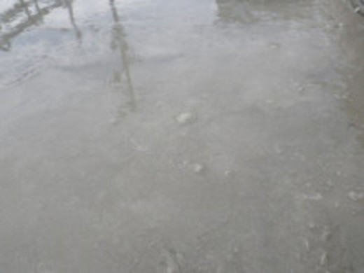 AE24B883-676D-4F2C-966E-9C13376ED810.jpeg