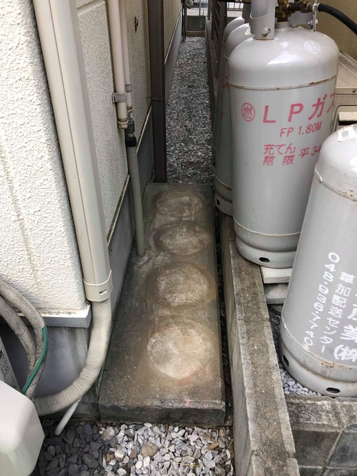 E9B5E399-3DF8-40E5-9797-7F5245D94D15.jpeg