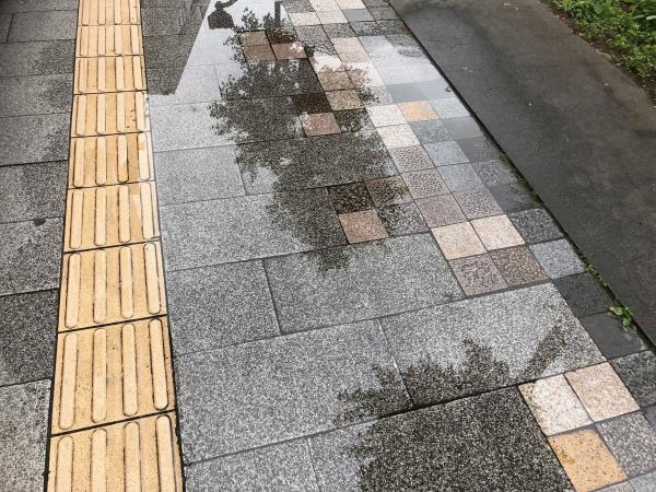 「雨の日に僕は怒っています」街角の地面に真剣に怒る（後編）