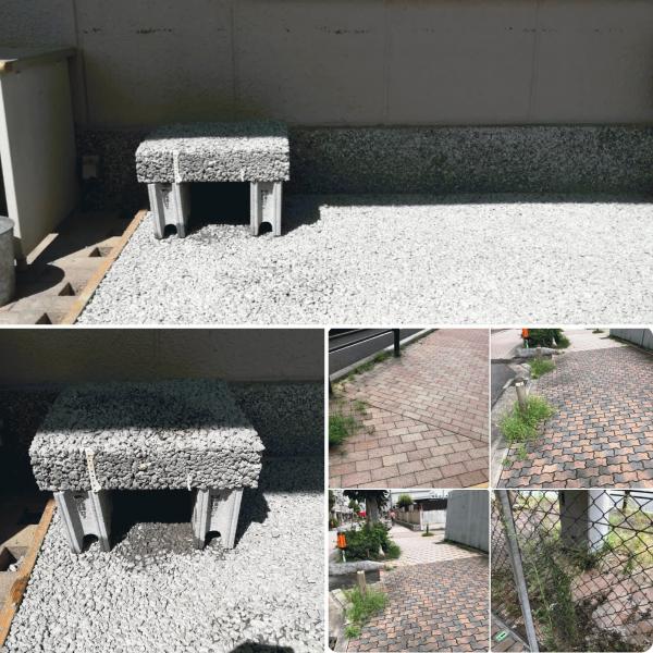 【京都】「週が明けて型枠を外した感想」オクセと京都の生コンが動き出す|下を向いて歩こう #5(京都)