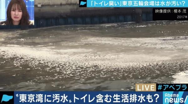 「東京五輪トライアスロン問題の真相」排水設備