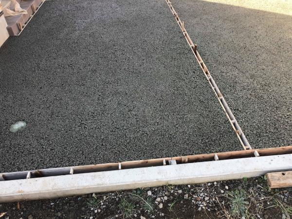 【静岡】「水たまりがやだ」伊豆植物園