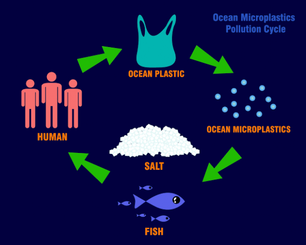 「アスファルト舗装とマイクロプラスチックは無関係なのか?」(pt1)