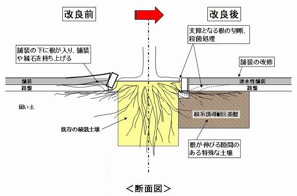 「歩道の段差につまずいてヒヤッとしたことない?」根上がり対策