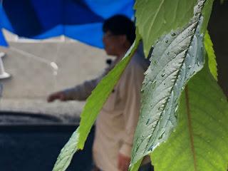 Mさん.jpeg