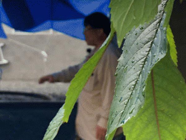 「自宅に施工したいなあ|透水性コンクリート」