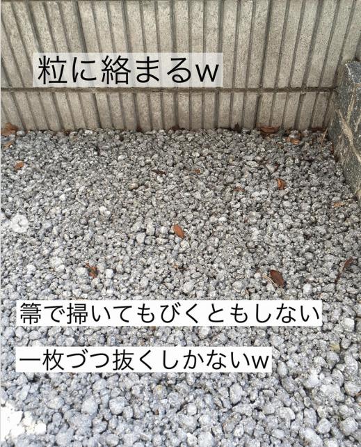 B40F7996-825C-45FD-A637-66D261448B92.jpeg