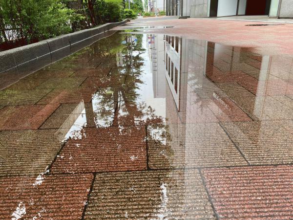 「不自然な東京の地面について」下を向いて歩こう＃9・東京