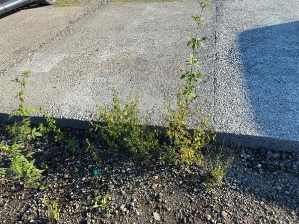 「隙間(空隙)から雑草生えてきたりしないの?」「数年経つと土間コンと同じように汚れるんでしょ?」