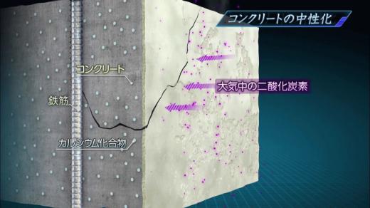 74A8AE08-65C1-428E-AD84-F747EDB29492.jpeg