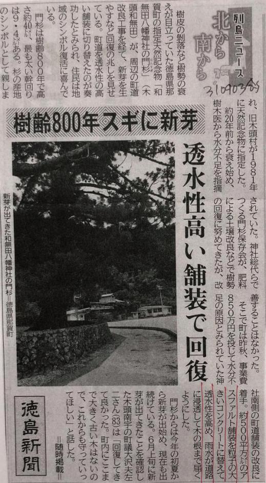 コンクリートの塩基 アルカリ性 は樹木の根に悪影響を及ぼさないの 水たまり対策 Drytech ドライテック 透水性舗装仕上材 生コンポータル コンクリートの塩基 アルカリ性 は樹木の根に悪影響を及ぼさないの 水たまり対策 Drytech ドライテック 透水性舗装仕上材 生コンポータル