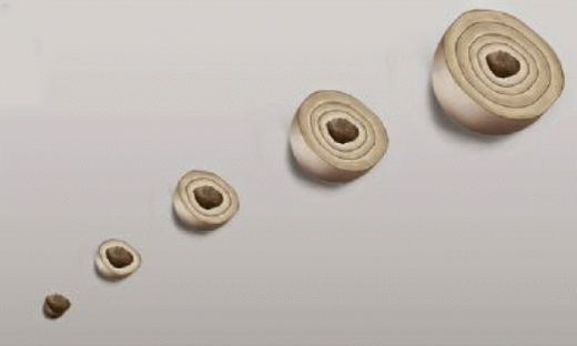 300BC816-B5C9-4E93-B689-30C34DACF919.png