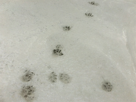 7380C24A-3DB6-4699-ABF7-0936476F089A.png