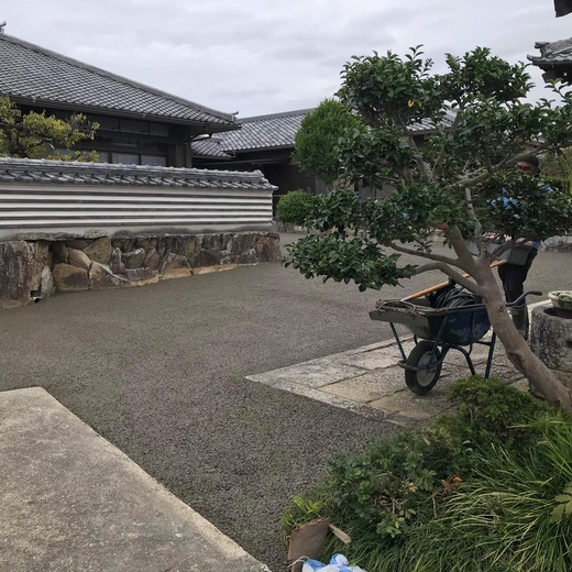IMG_5786.jpeg