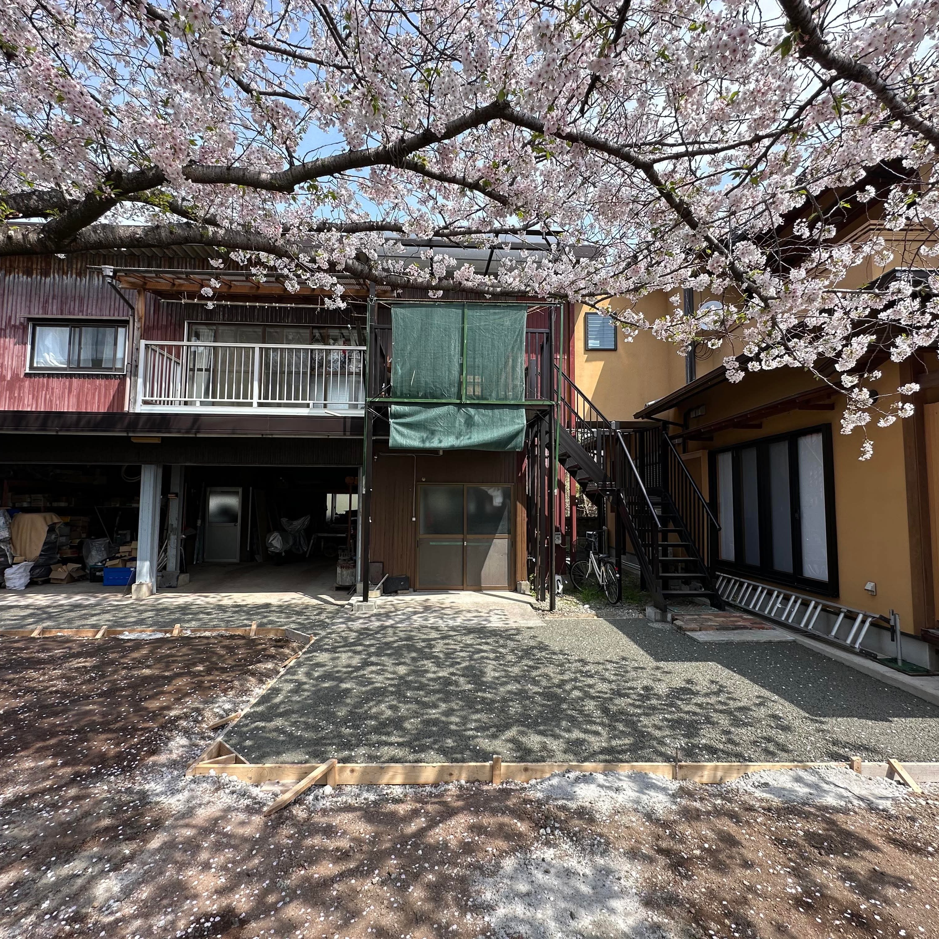 桜とコンクリートどっちが主役かわからない オコシコン®︎ で作った駐車場