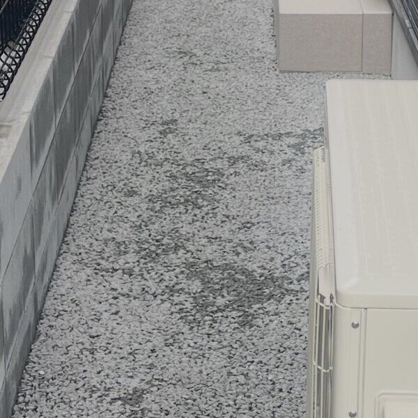 ４件でしたが来年はもっと沢山のオコシコン打設を目指したいです。本年もありがとうございました