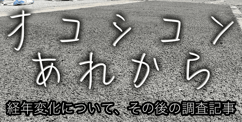 オコシコン、あれから