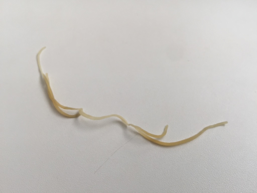 輪ゴムからわかること コンクリート舗装の良さ 水たまり対策 Drytech ドライテック 透水性舗装仕上材 生コンポータル 輪ゴムからわかること コンクリート舗装の良さ 水たまり対策 Drytech ドライテック 透水性舗装仕上材 生コンポータル