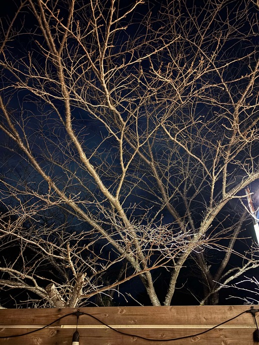 5adedc03a9143cb567223f251dcee912.jpeg