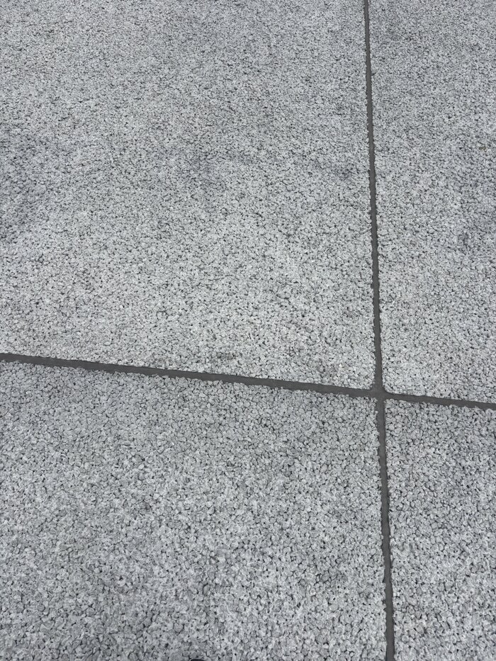 IMG_1553.jpeg