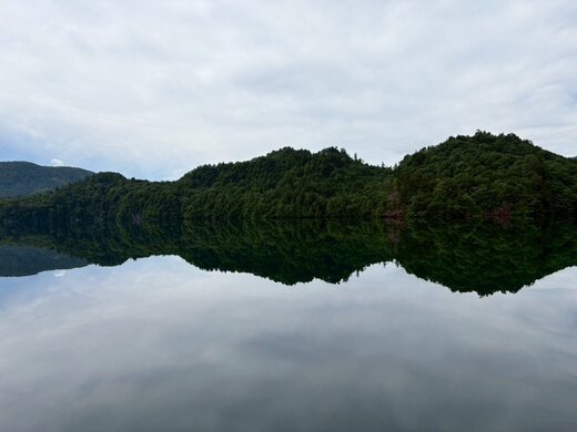 IMG_7645.jpeg