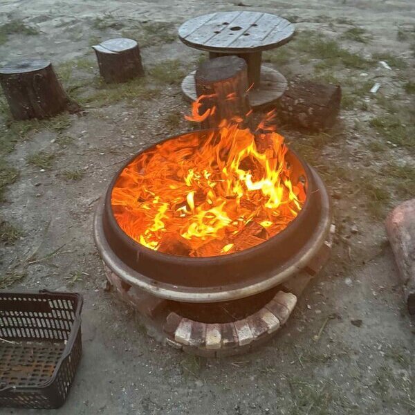 コンクリートの展示場ナマコンバレー（beton-valley）のある伊豆半島で夏に体験できること