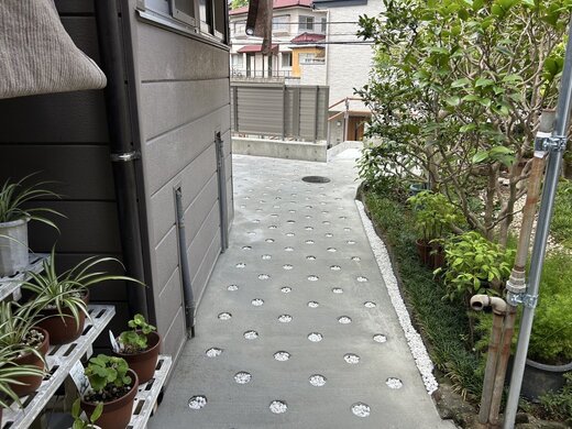 IMG_1007.jpeg