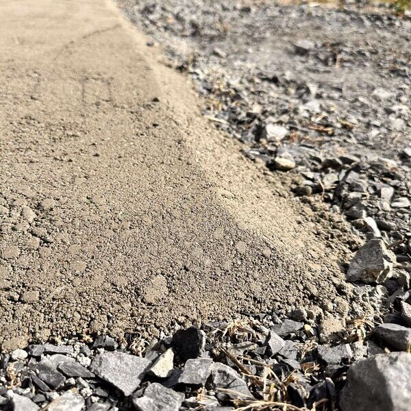 身近なコンクリートは生コンポータルの得意分野（週刊生コン 2025/12/22）