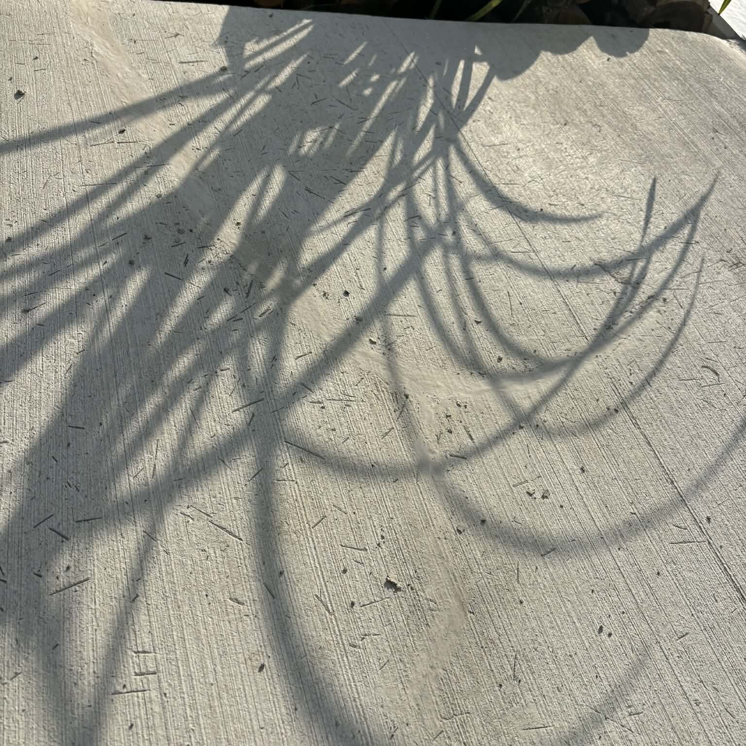 まだまだ無料で配付中！バキッと入った土間コン™︎ひび割れを【消し粉む™︎】でなかったことに