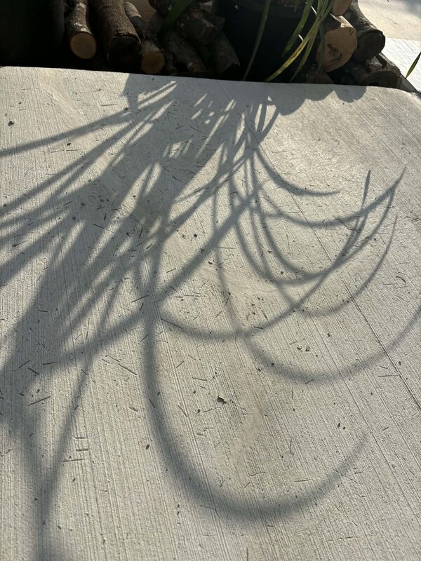 まだまだ無料で配付中！バキッと入った土間コン™︎ひび割れを【消し粉む™︎】でなかったことに