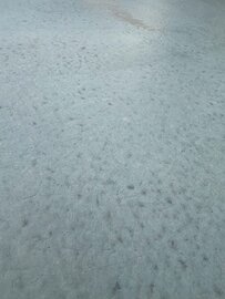 【注意】土間コン™︎が真っ白になる前に表面が【真っ青】になる現象「スラグブルー」について