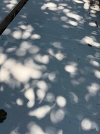 土間コン™︎ホワイトで熱々の地球を冷やせ！ 国交省も推奨する低炭素コン採用のすゝめ