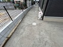 【大分】雨の日や野良猫の悩みも一発解決するコンクリート